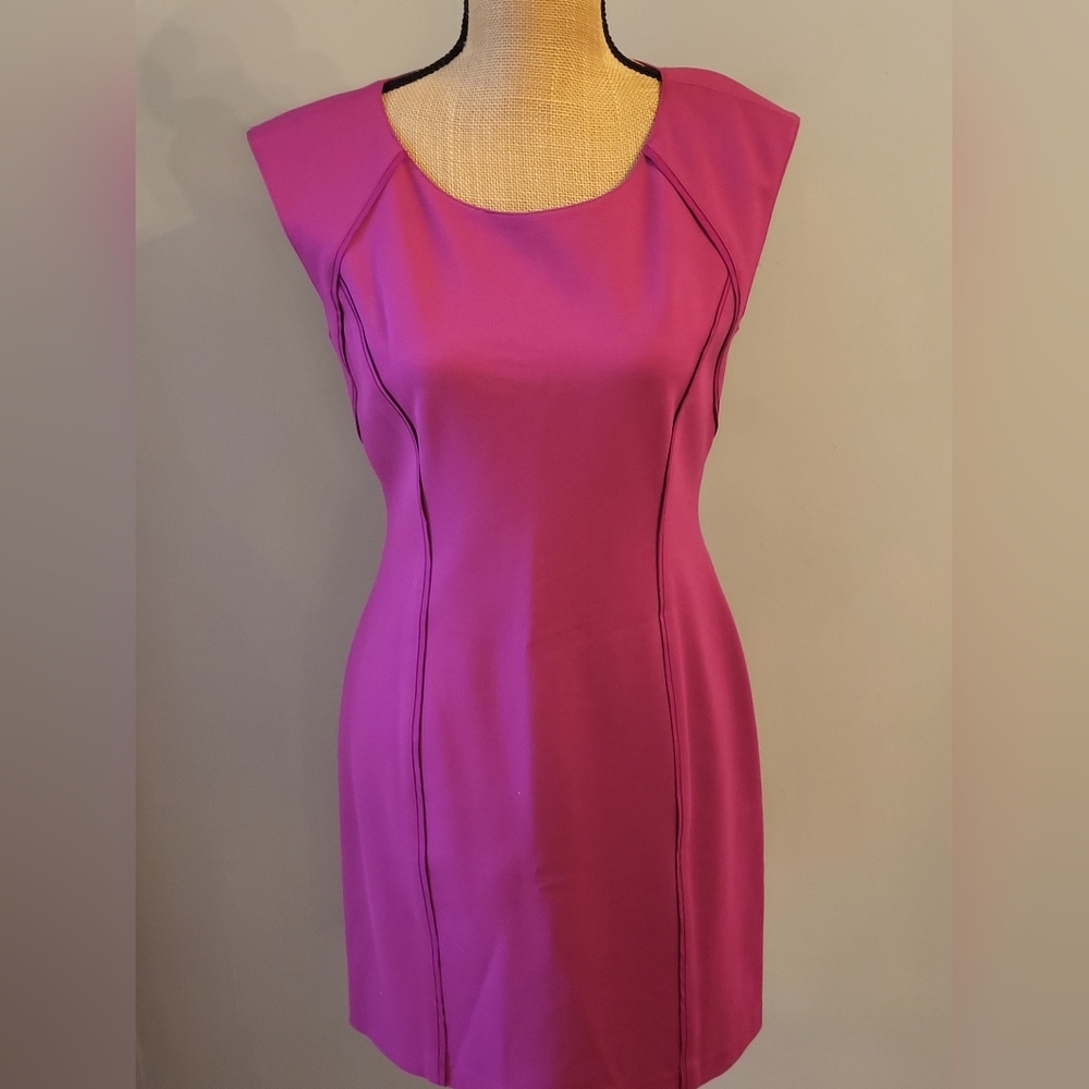 Catherine Maladrino Size 8 Magenta Pink Lined Rayon Blend Sheath Dress